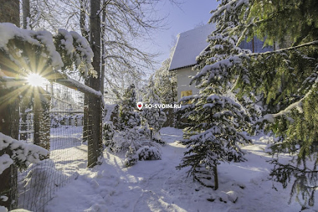 Фото №20 зала  Царский зал