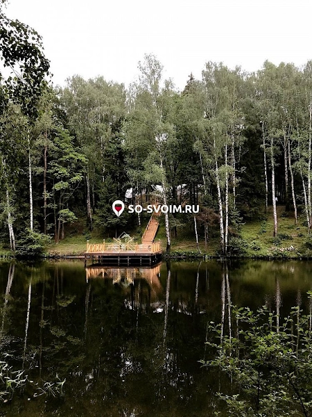 №6 ресторана 