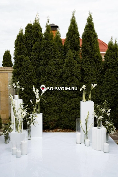 №12 ресторана 