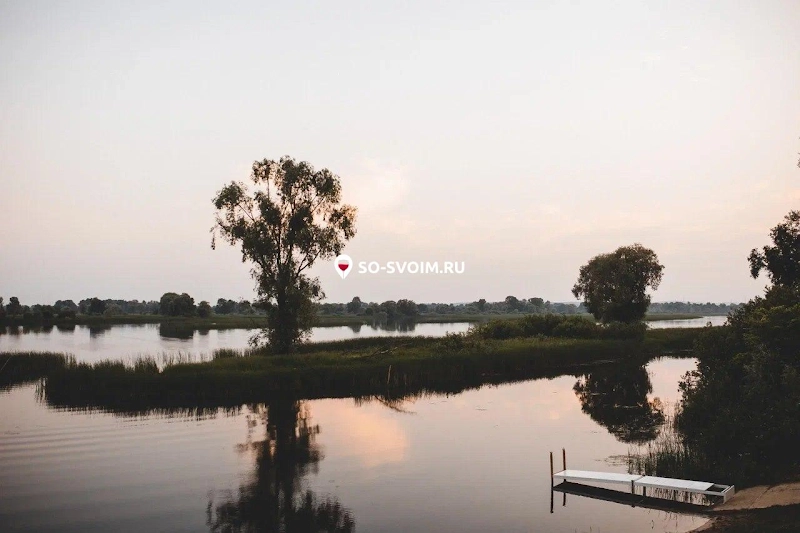 №7 ресторана 