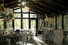 Wood House-mini