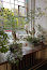 Family Loft-mini