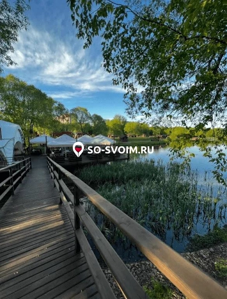 №5 ресторана 