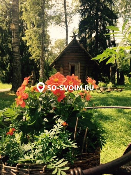 Фото №7 зала Поляна сказок