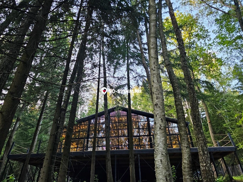 №3 ресторана 