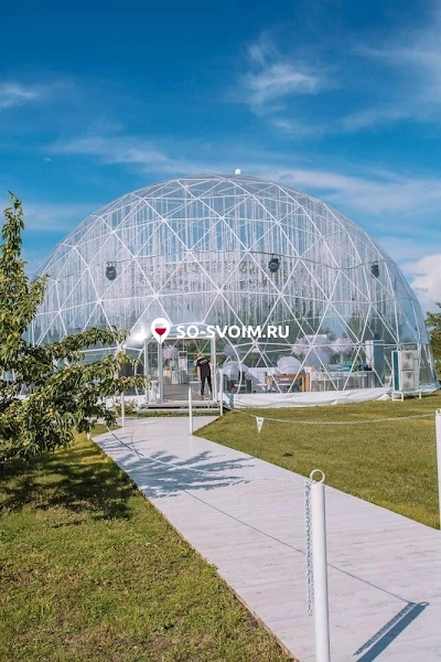 №5 ресторана 