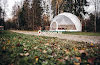 Гуси-Лебеди-mini