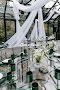 Green House-mini