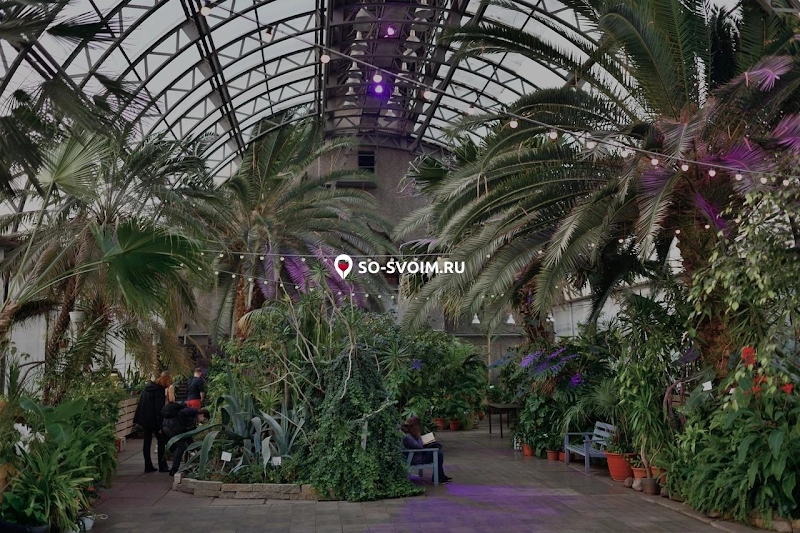 Фото №16 зала Оранжерея 