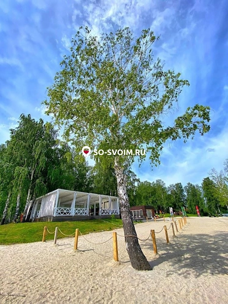 №15 ресторана 