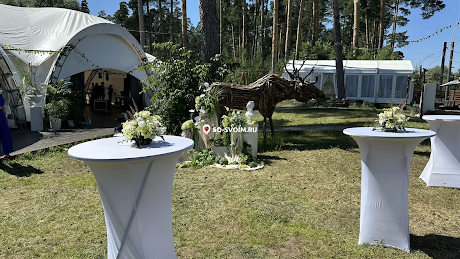 Фото №15 зала Шатёр