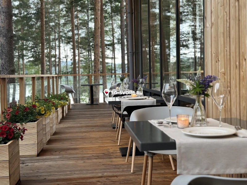 №13 ресторана 