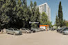 Тан-mini