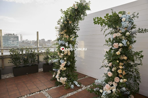 Фото №2 зала Доктор на крыше