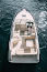 Фото №1 зала SEA RAY 250 "GOLDEN SHERIFF"-mini