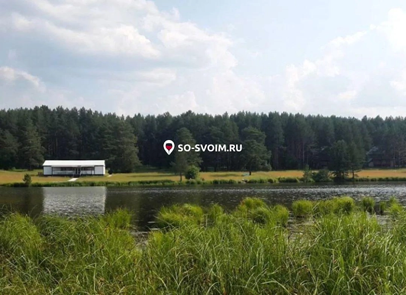 №9 ресторана 