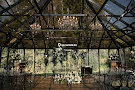 Green House-mini
