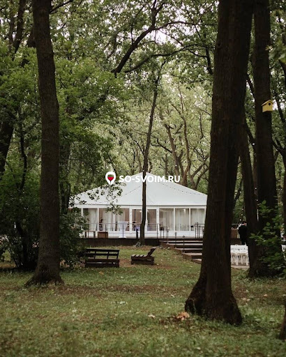Фото №17 зала Forest Park
