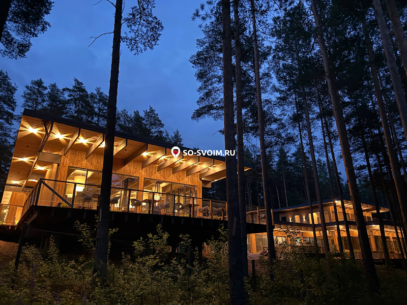 №19 ресторана 