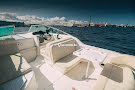 SEA RAY 250 "GOLDEN SHERIFF"-mini