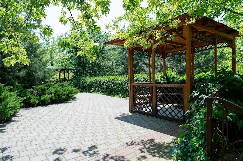 №20 ресторана 