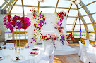 Купол Sky-Lounge-mini