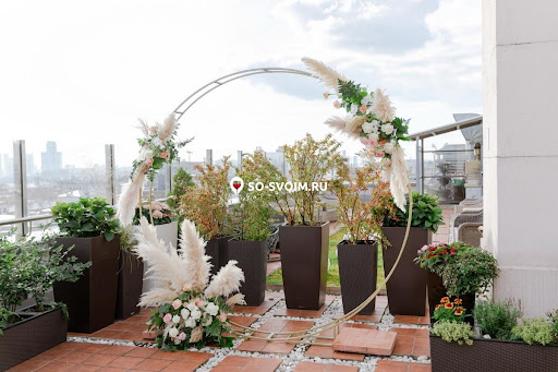 Фото №6 зала Доктор на крыше