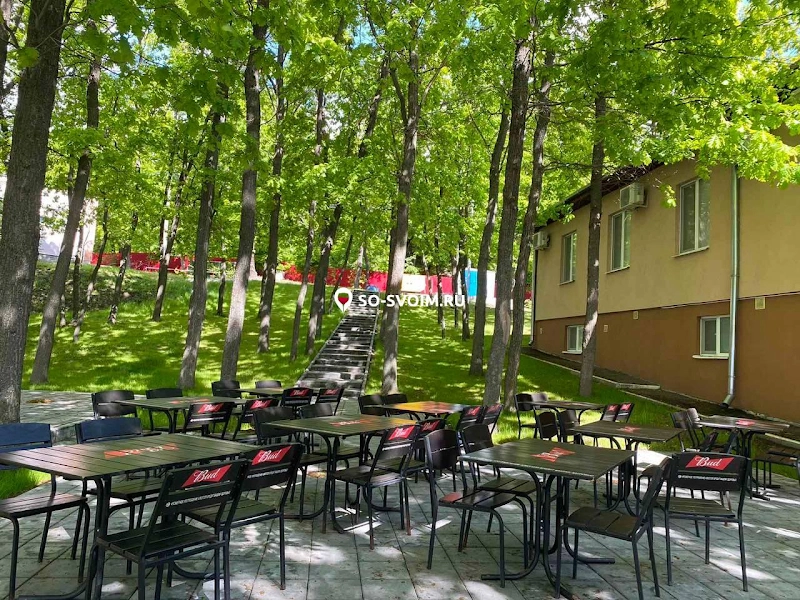 №18 ресторана 