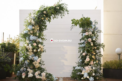 Фото №8 зала Доктор на крыше