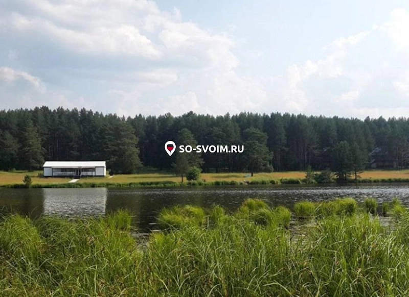 №14 ресторана 