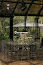 Green House-mini