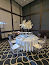 SHERATONPLAZA Ufa - Congress Hotel-mini